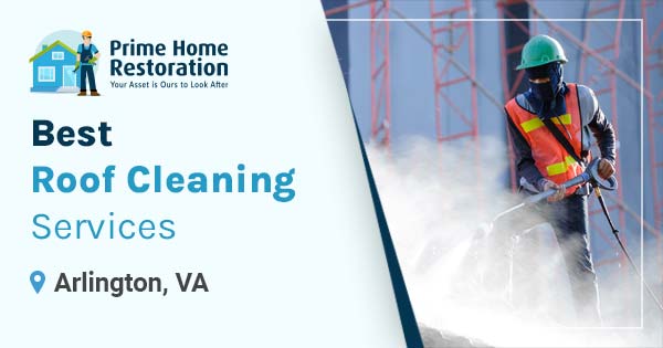Best roof cleaning services in Arlington, VA