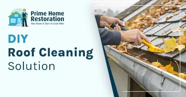 DIY Roof Cleaning Solution: A safe roof cleaning methods