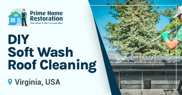 DIY soft wash roof cleaning: What Virginia homeowners should know