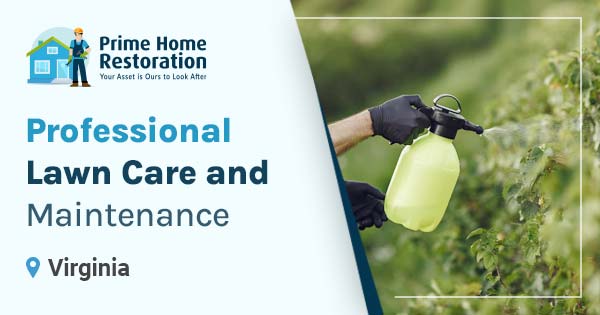 Lawn Care and Maintenance in Manassas, VA