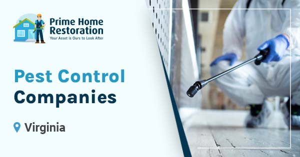 Pest control companies in Virginia