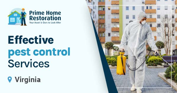 Effective pest control and exterminators services in Virginia
