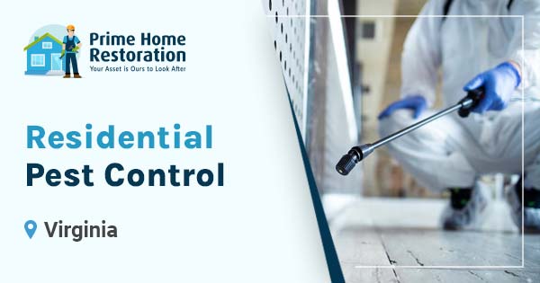 Residential Pest Control in Virginia
