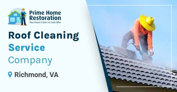 Roof cleaning service company in Richmond, VA
